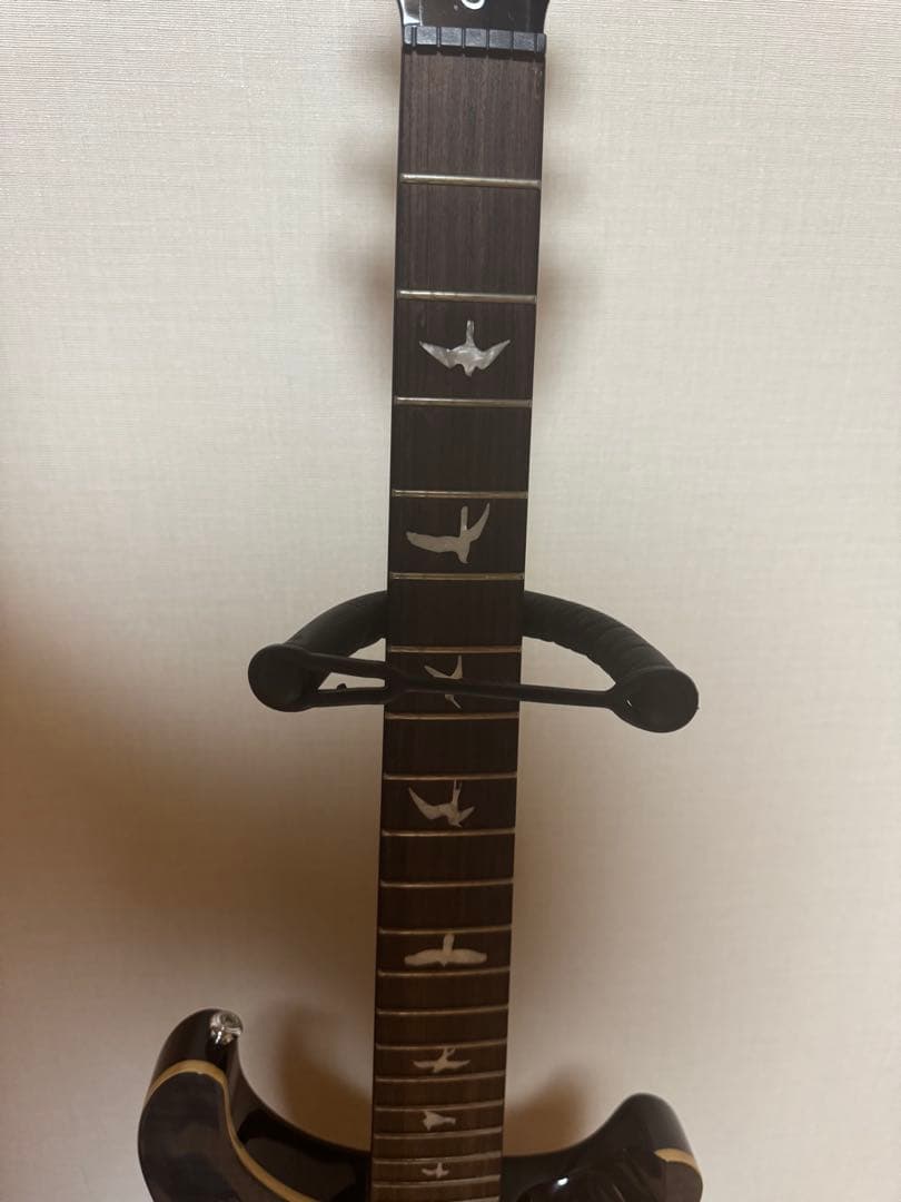 ギター Paul Reed Smith SE Custom