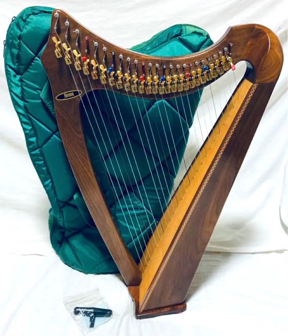 AOYAMA 25S 青山ハープ 25弦 コンパクト ノンペダル ケース付