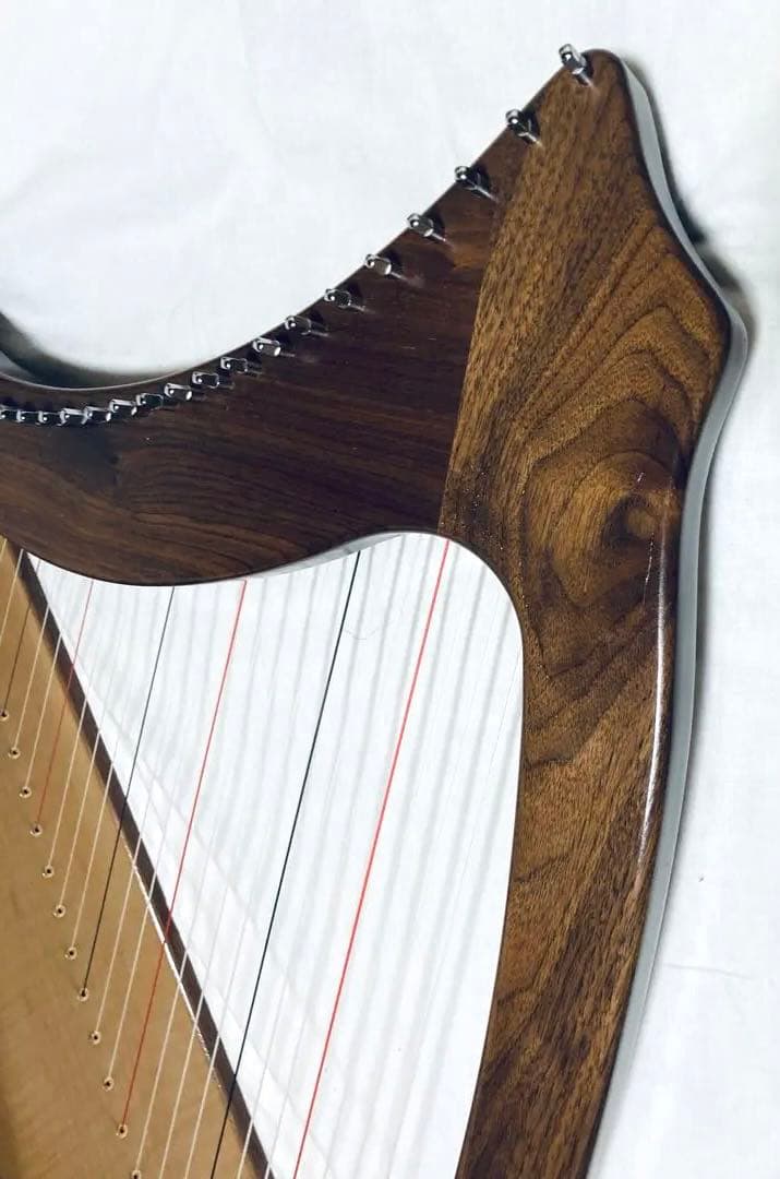 AOYAMA 25S 青山ハープ 25弦 コンパクト ノンペダル ケース付