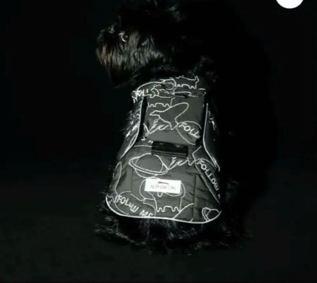 アルファアイコン AIR LINER エアライナー COSMIC 1L ポケット