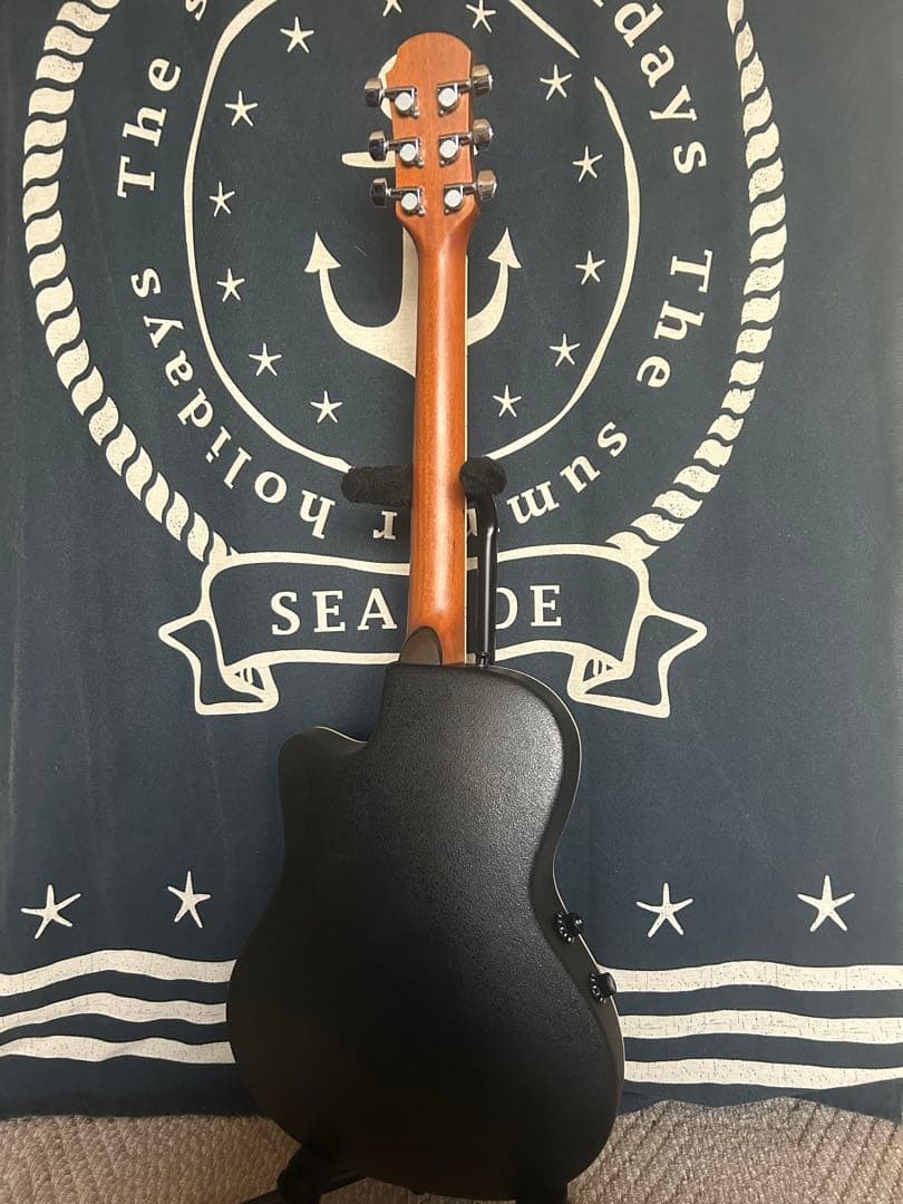 新春特価‼️90年代❣️ProMartinトラベルsizeエレアコ　SEA350RS