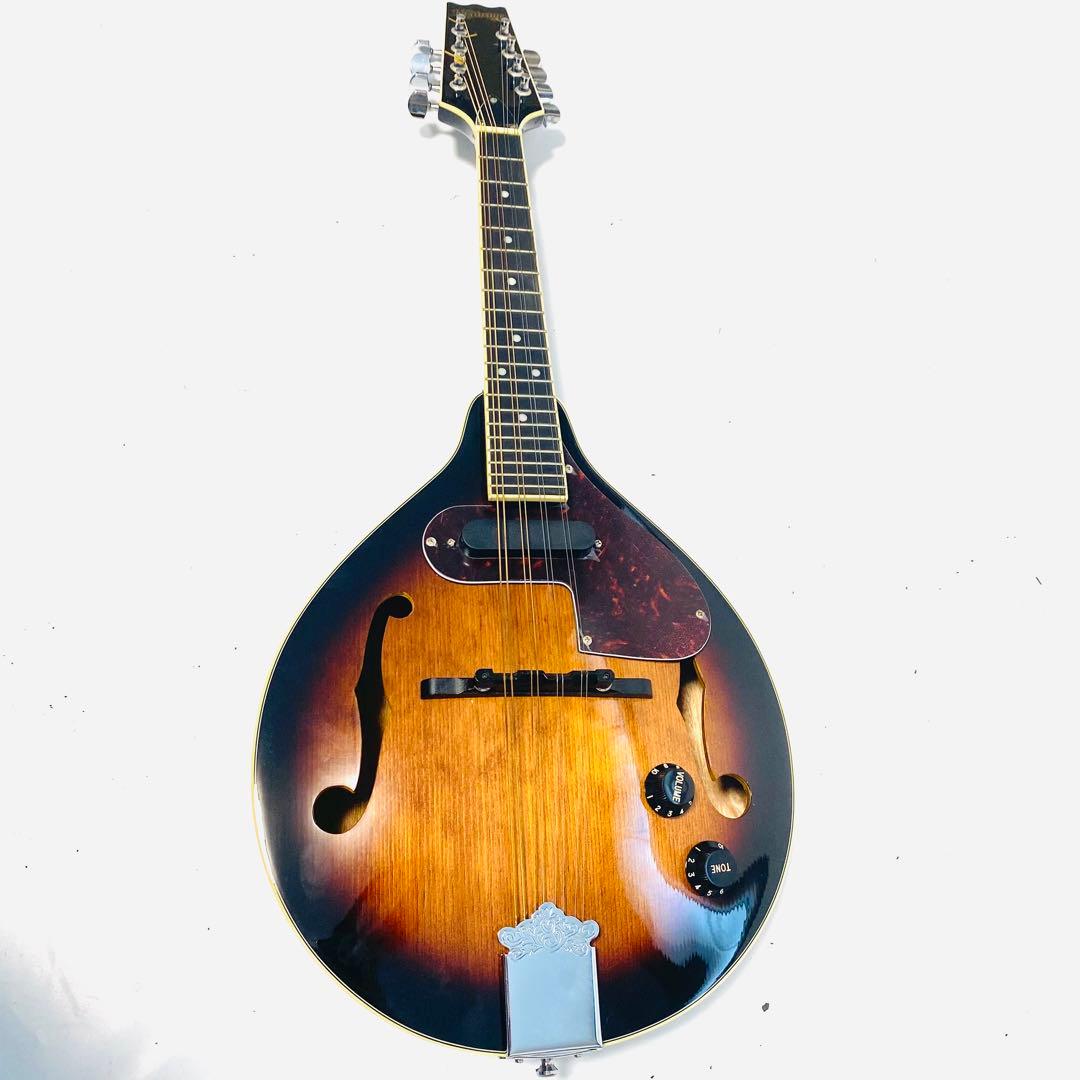 K.Garage VM-6E フラットマンドリン ハードケース付き