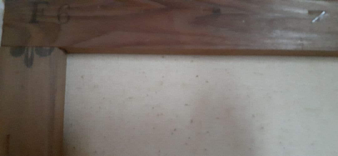 e Augustus Williams　F6　油絵　昭和50年購入