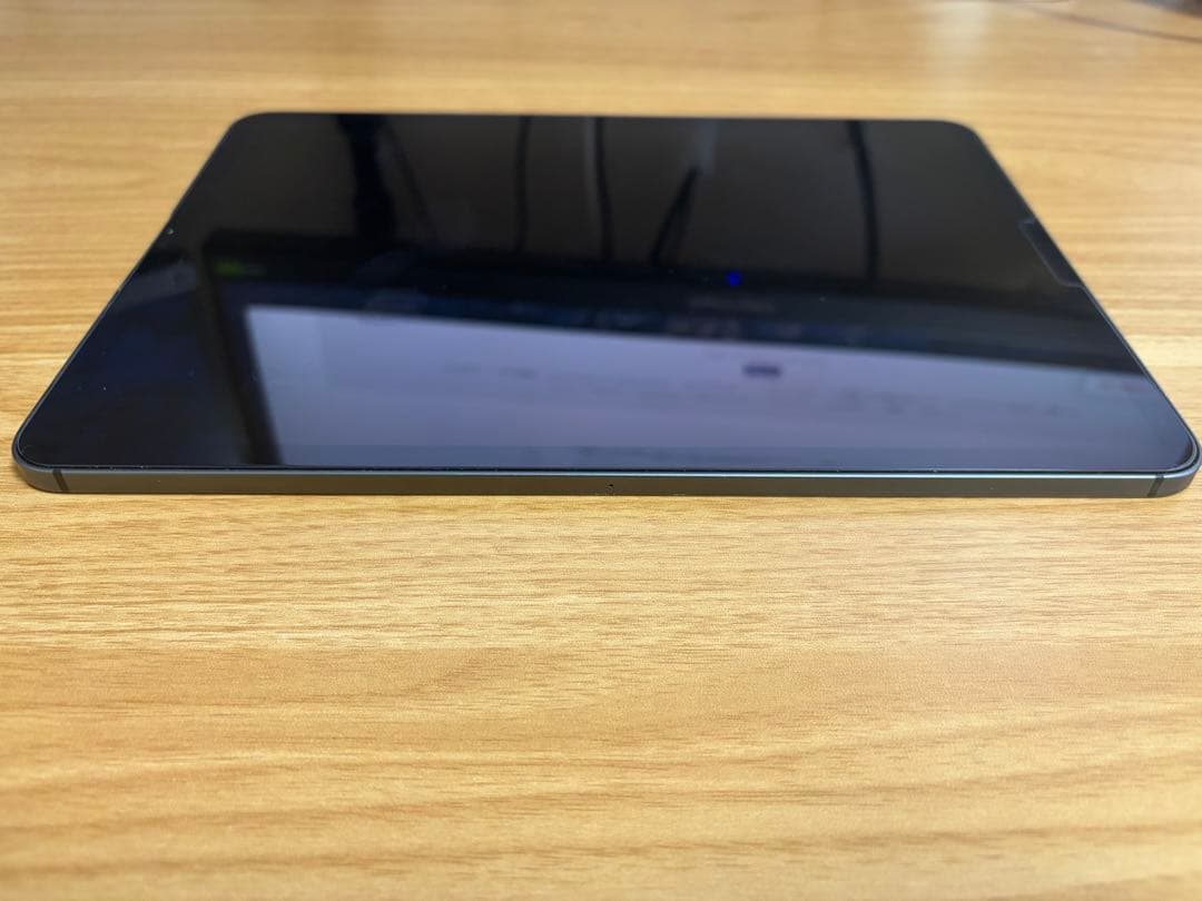 iPad Pro 第1世代 １TB Cellularモデル