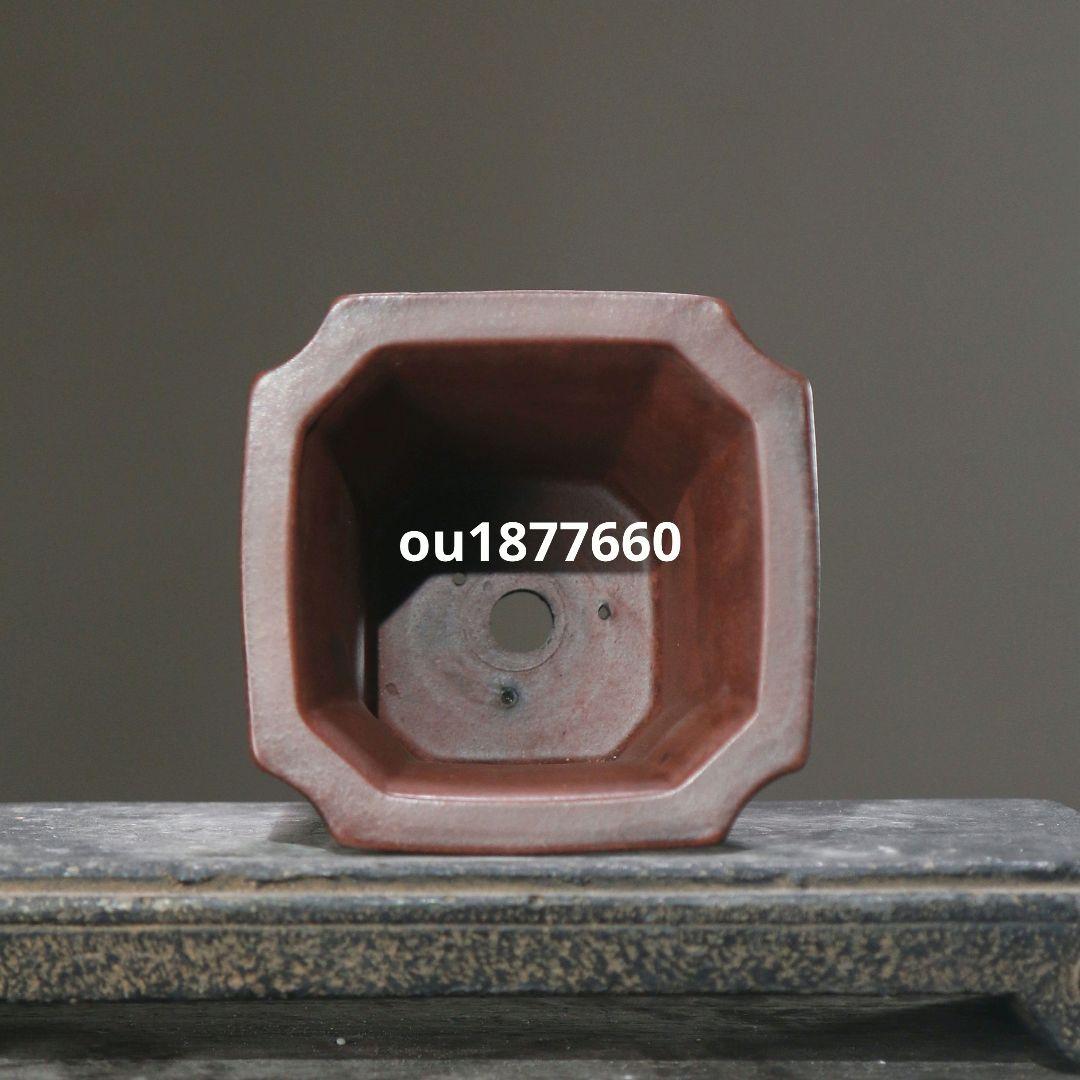 美人腰蘭鉢 多肉植物鉢 紫砂鉢 盆栽鉢 植木鉢 小品盆栽鉢 大品盆栽鉢