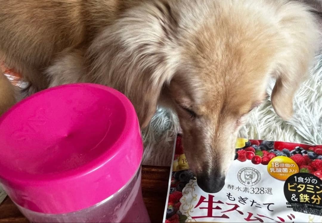 確認用　顔真上