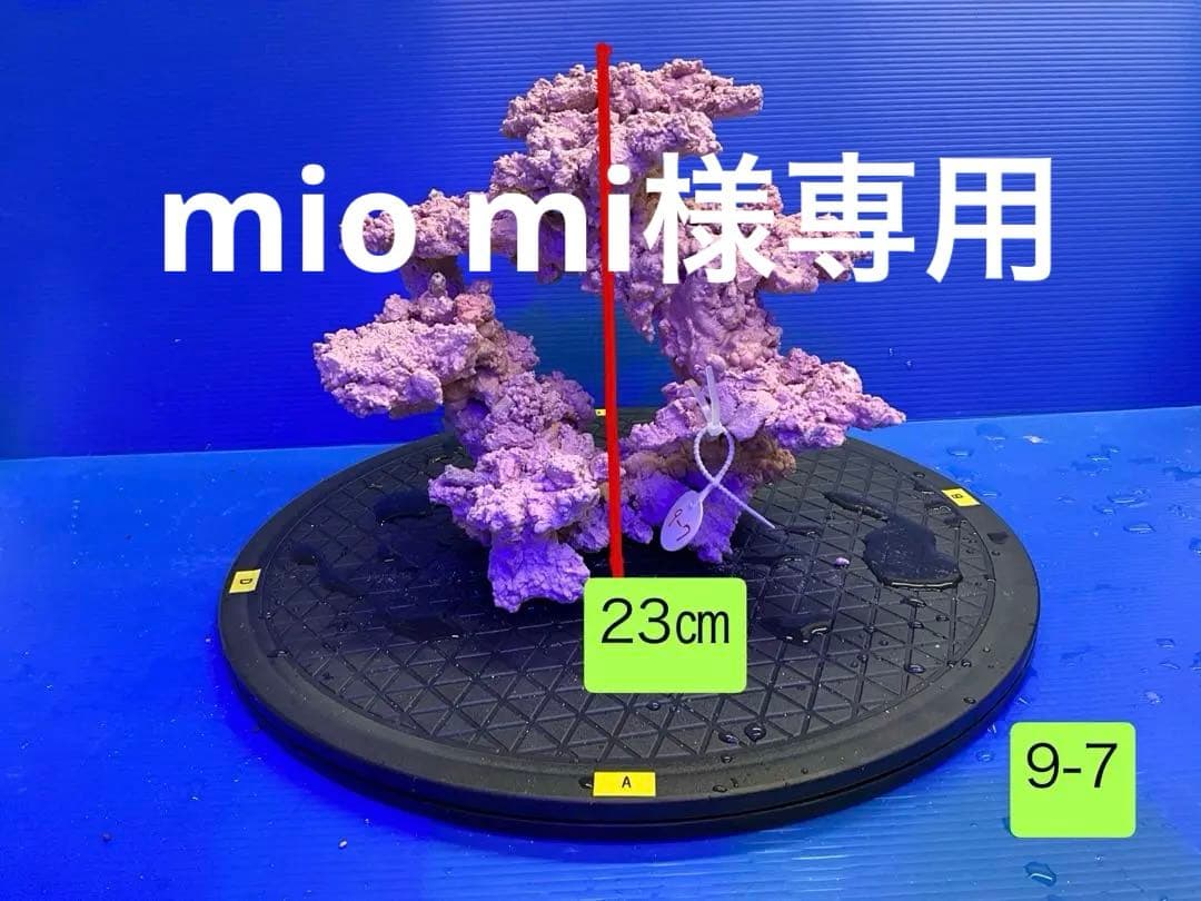 人工ライブロック　No.9-7 CO2 無害化処理済