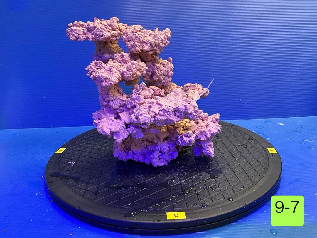 人工ライブロック　No.9-7 CO2 無害化処理済