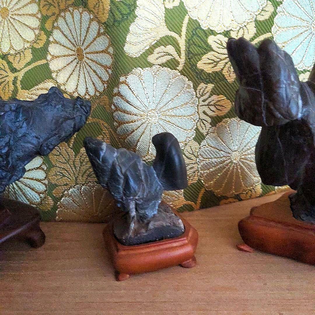 【最終価格】紀州名産　古谷石　銘、親子鶏　　谷本百穂箱書付　水石　盆石