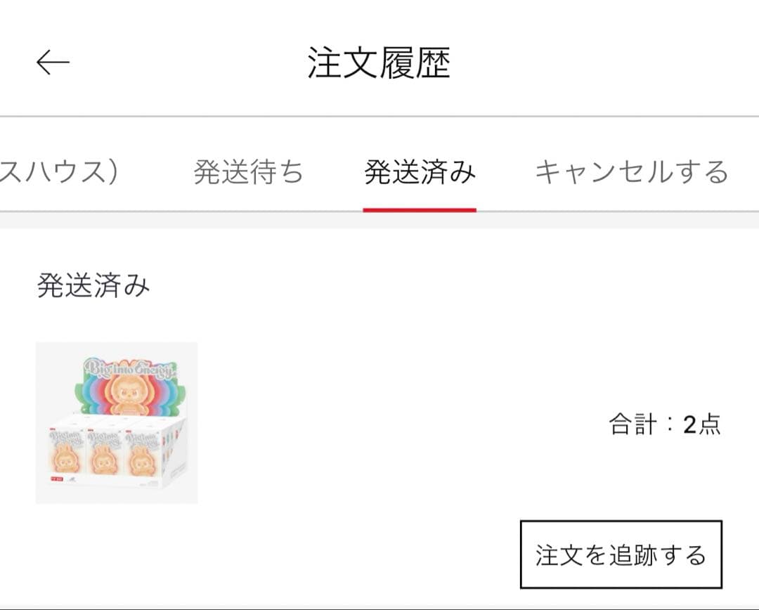 シュリンク付き未開封正規✨ラブブ BigintoEnergy アソートボックス