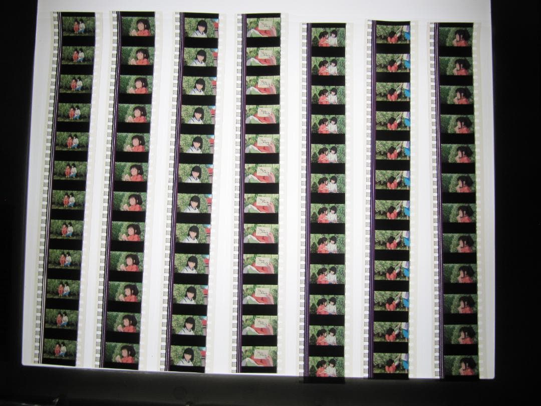 千と千尋の神隠し 35㎜フィルム12コマ×210枚合計2520コマ アルバム入