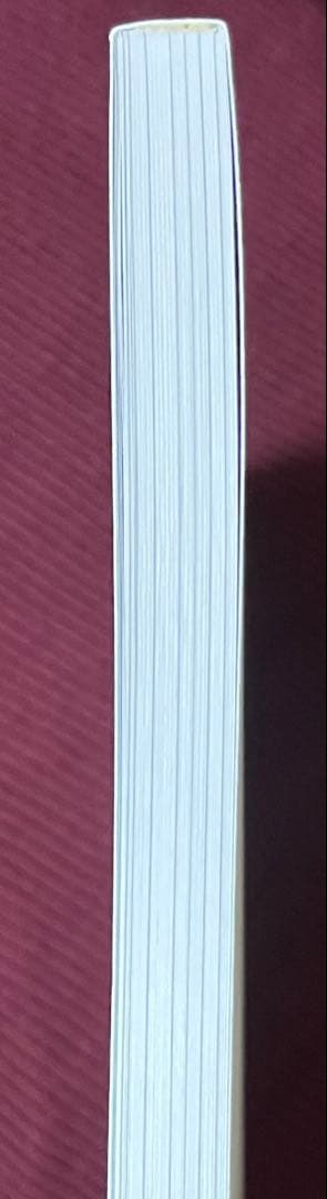 【美品】スロウダメージ 生原画展 図録 スロダメ Slow Damage