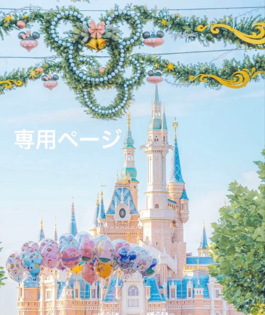 専用ページ　R-1216