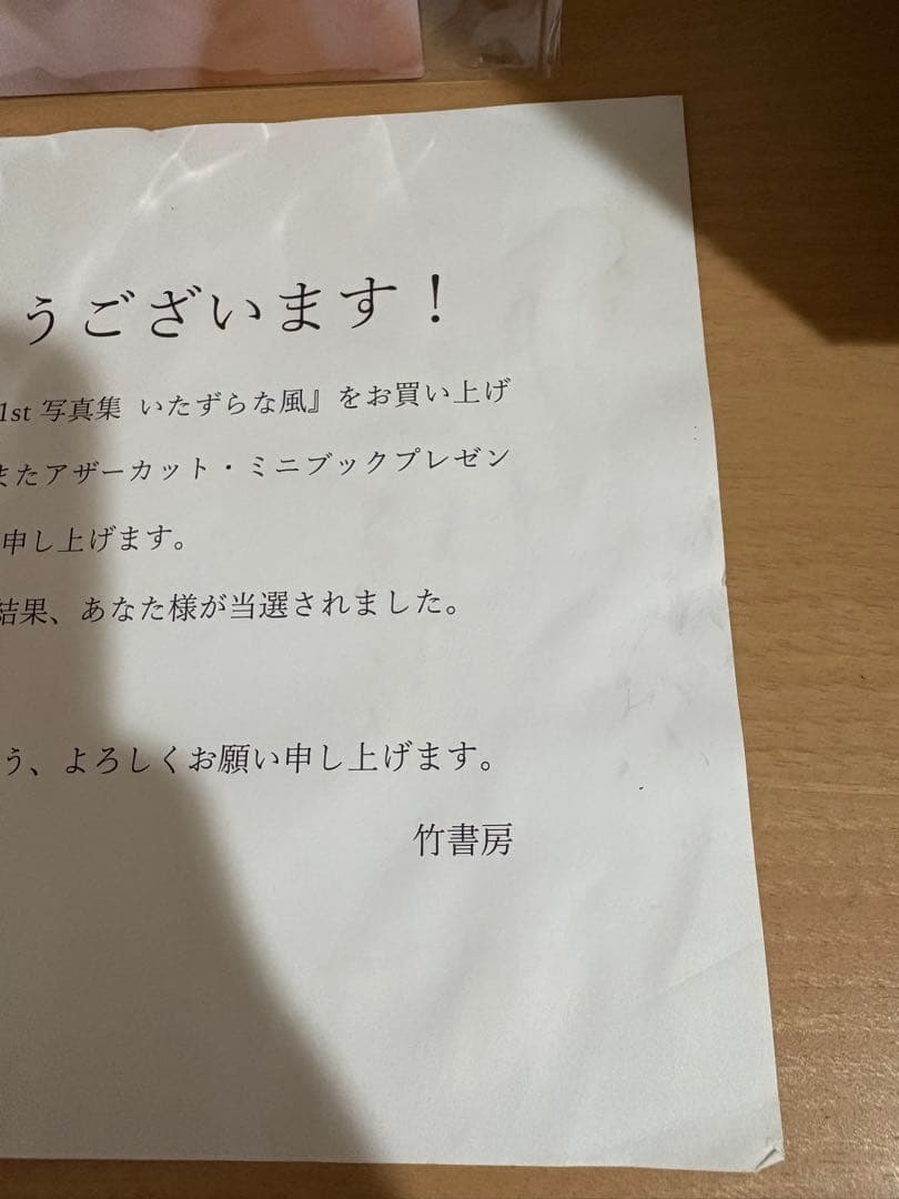 乃木坂46 岩本蓮加 1st写真集いたずらな風 アザーカット・ミニブック 当選品