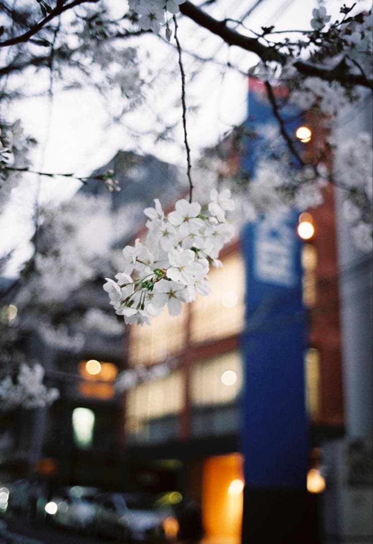 【超美品】ライカLeica M6 シルバー 0.72⭐️おまけ付き⭐️