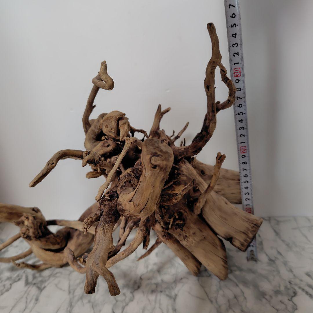 アク抜き済み流木【860】セール