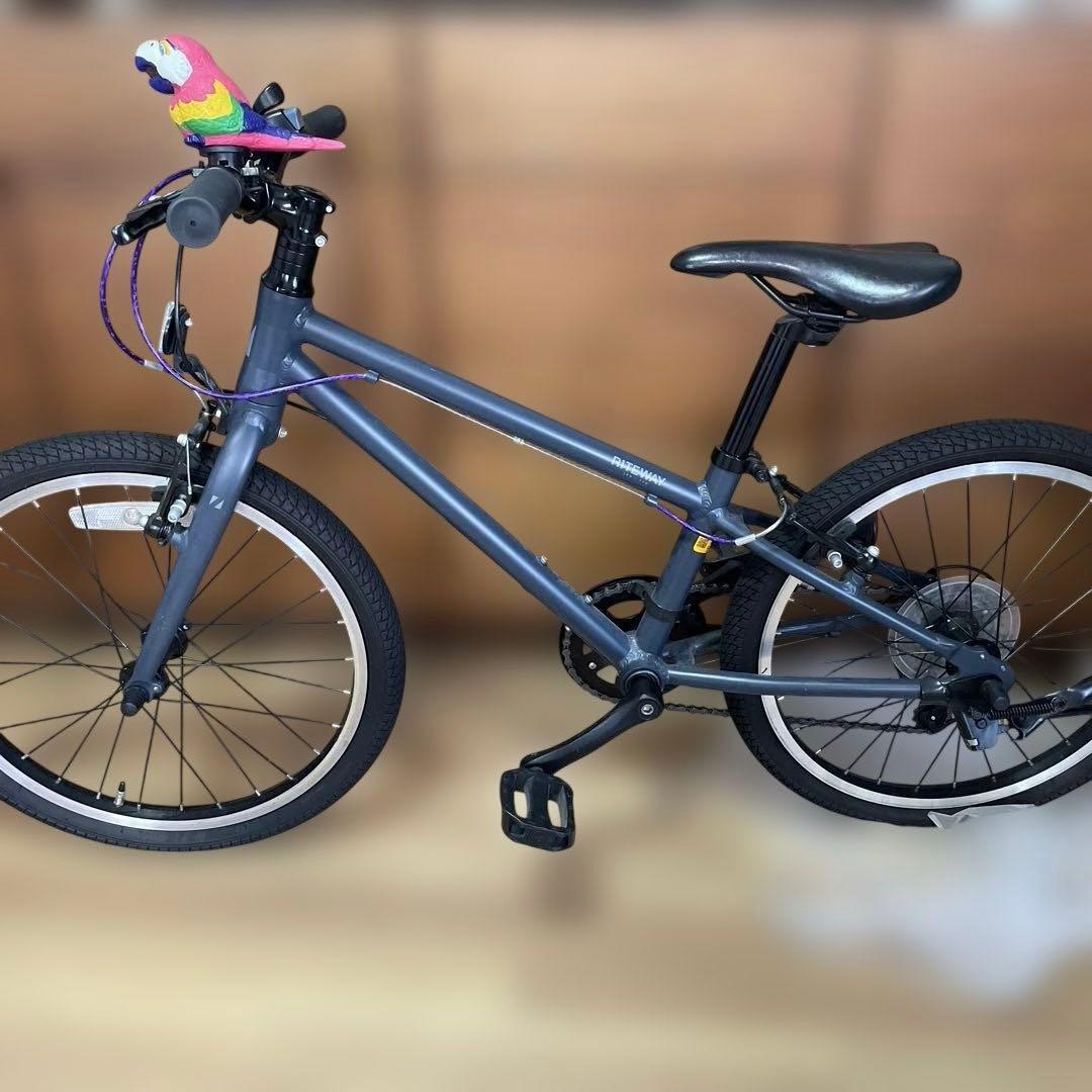 【タイペイ】RITEWAY ライトウェイ　20インチ　ブラック