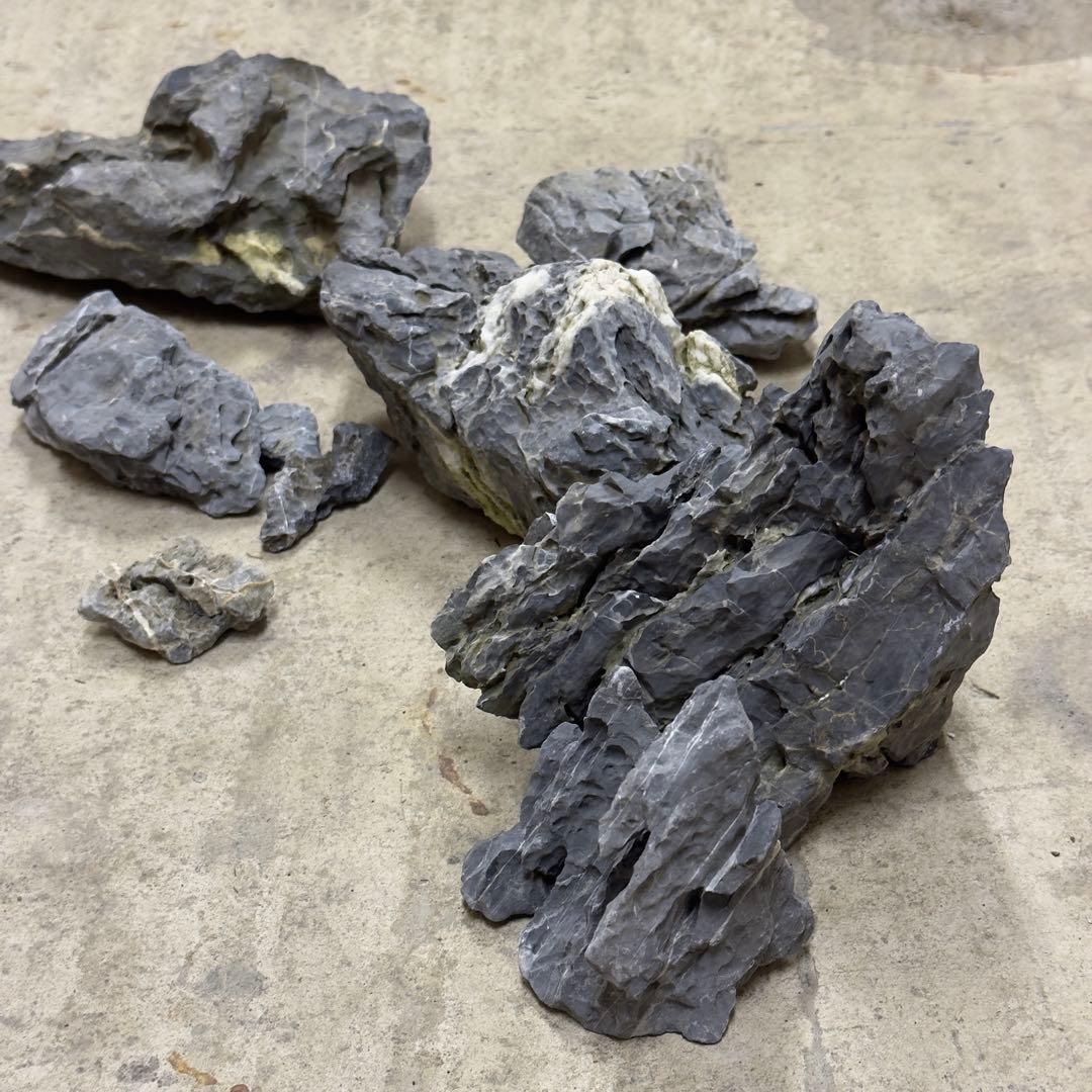 ADA龍王石 竜王石　セット　良型　1