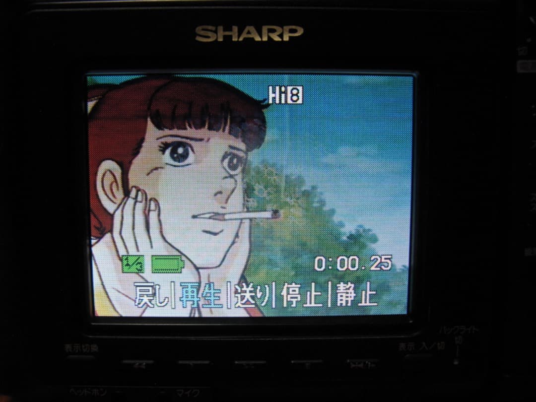 動作OK❗️☆シャープの液晶Hi8/8ミリビデオカメラ・VL-HL15