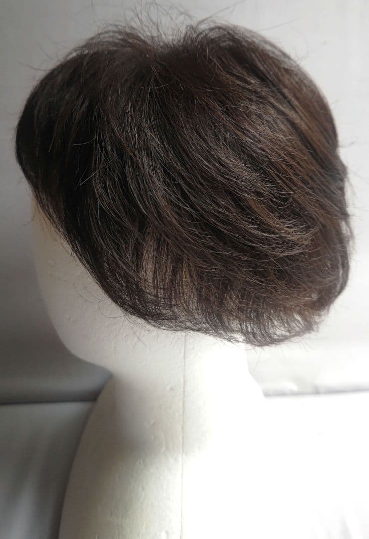 アートネイチャー　ジュリア・オージェ　ハーフウィッグ　さらら