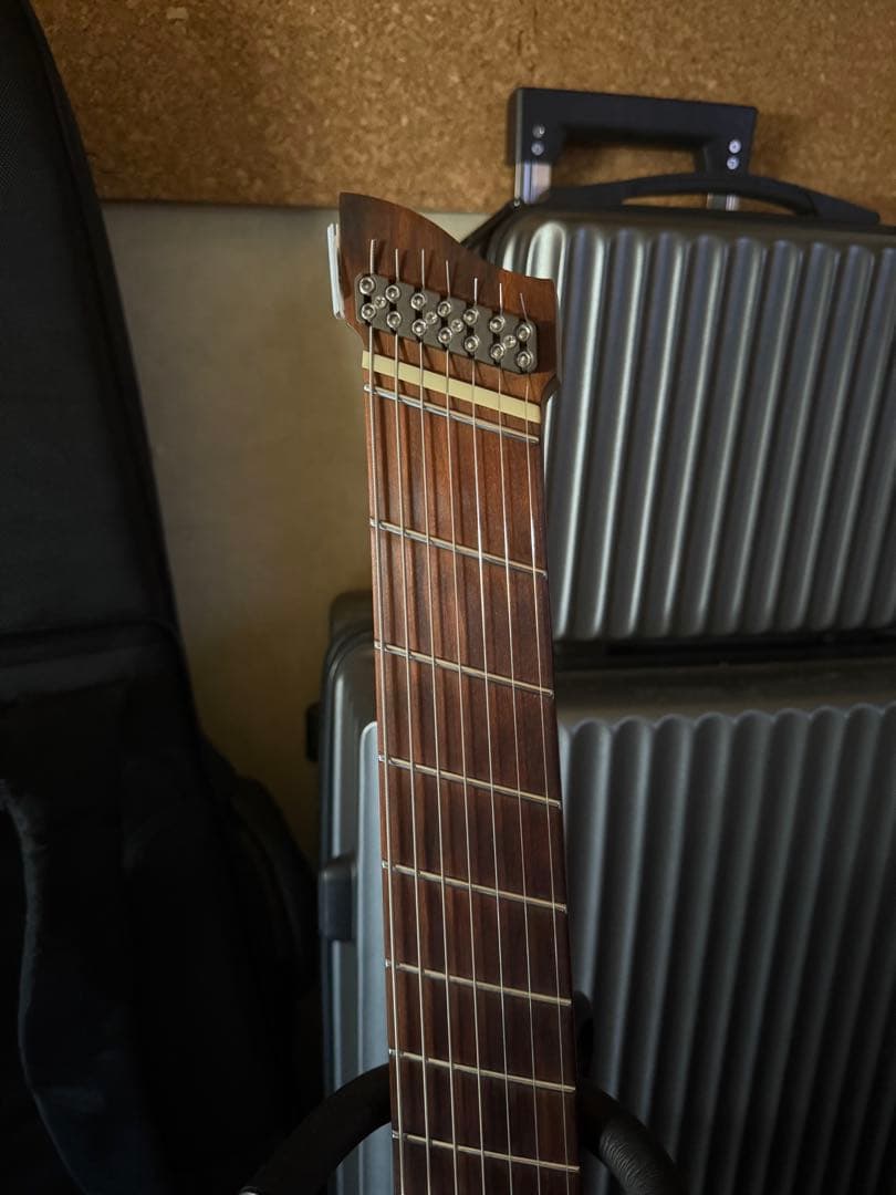 GOCguitars illumina7弦ギター