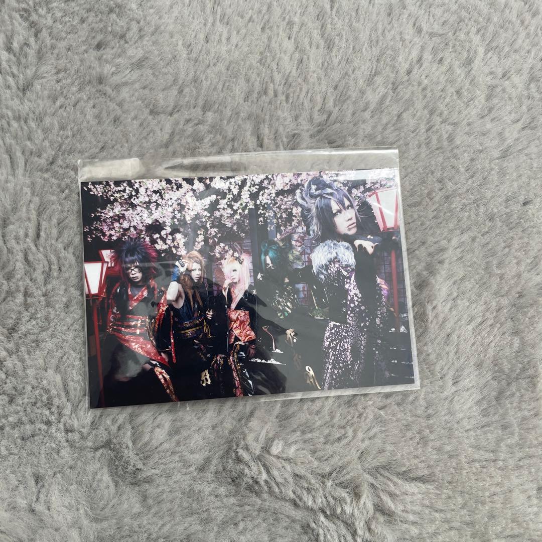 己龍 過去アー写 セット