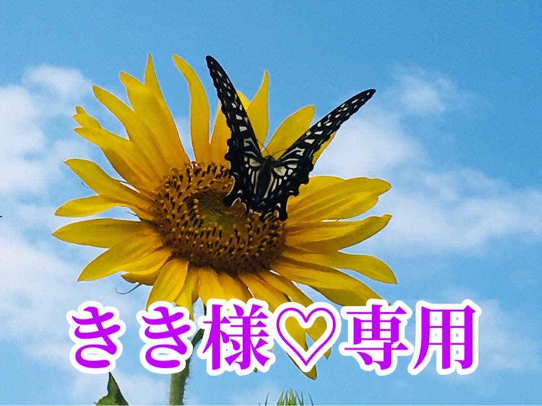 きき様❤️おまとめ専用ページです。4/11まで♡