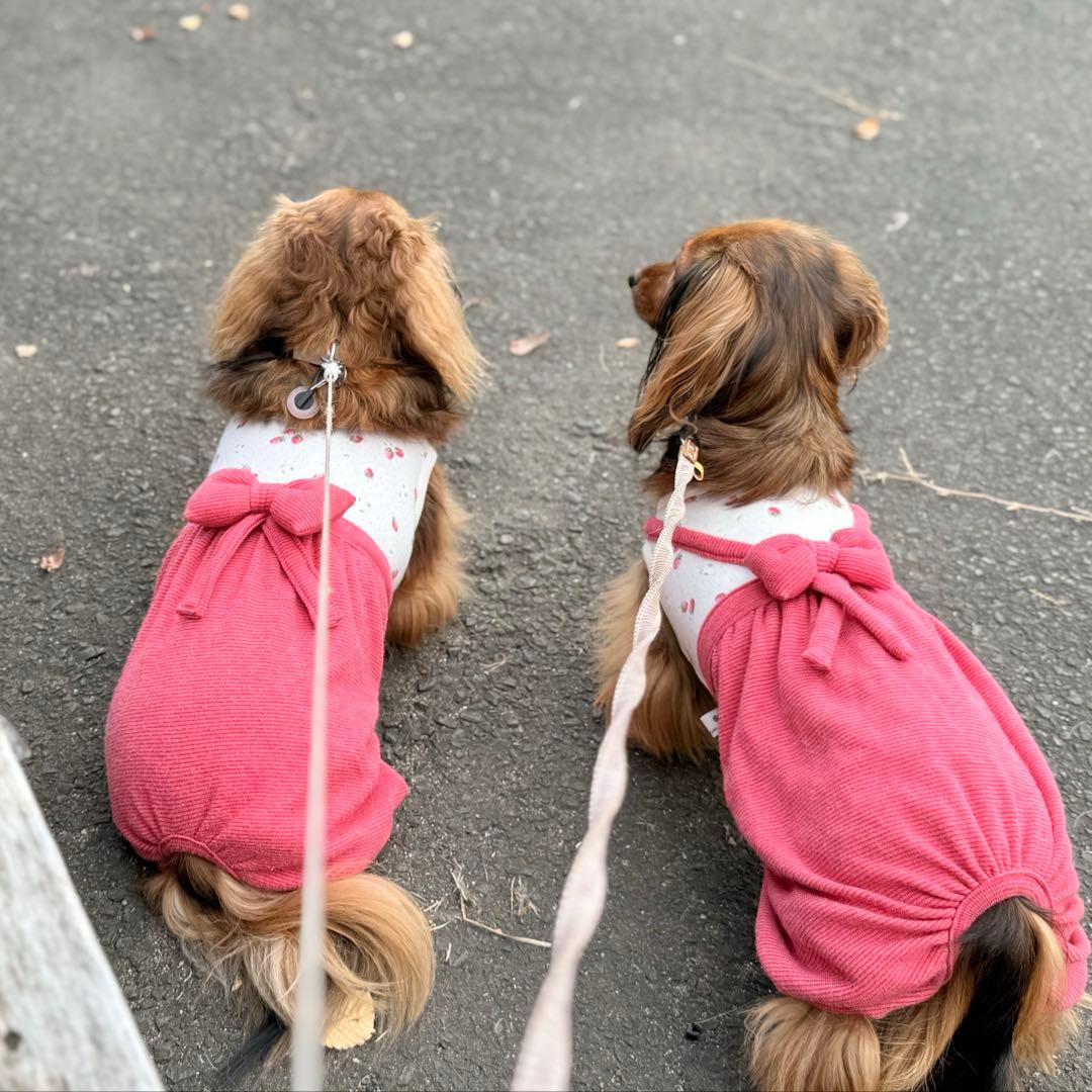 みおなページです　ダックス　犬服　ロンパース　犬の服　ダックスフンド