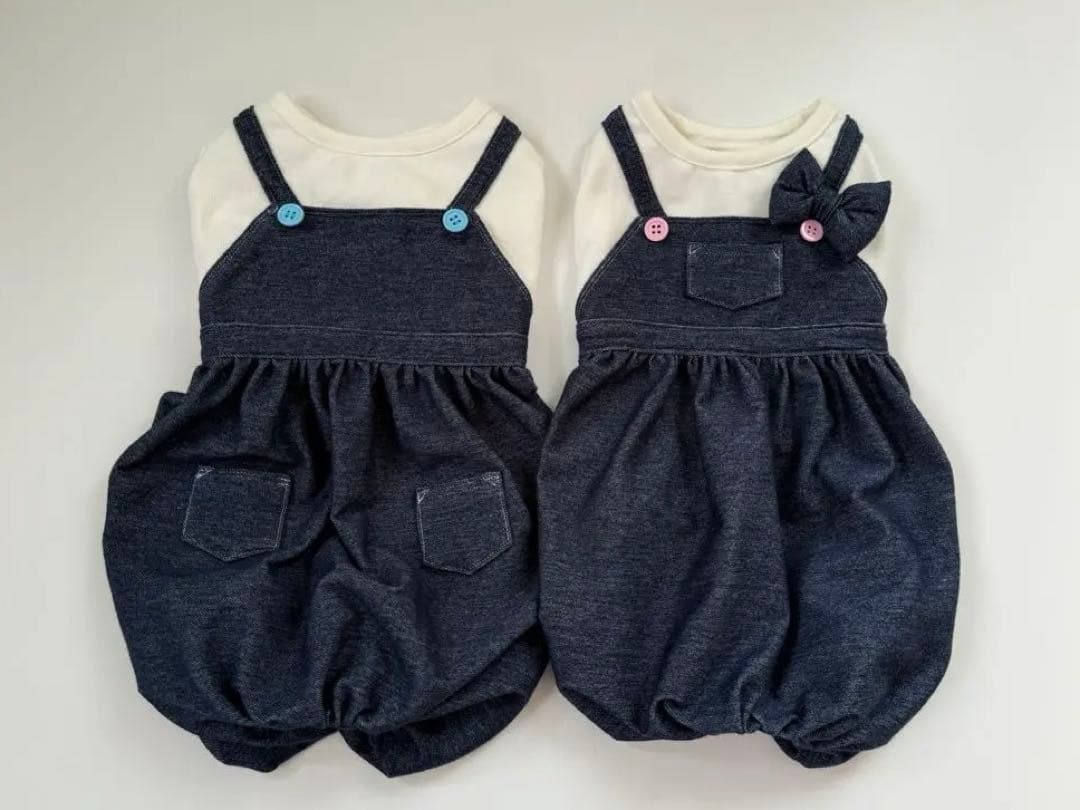 みおなページです　ダックス　犬服　ロンパース　犬の服　ダックスフンド