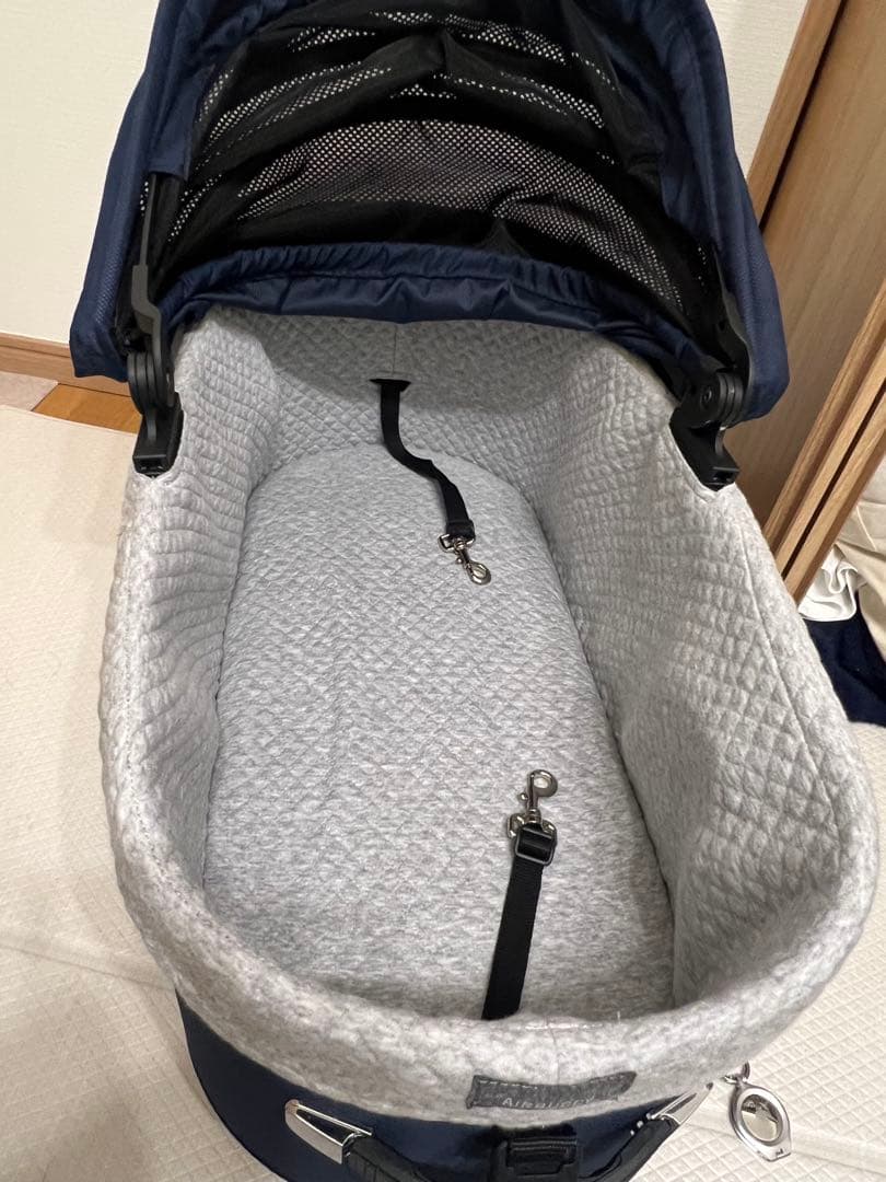 エアバギー ドーム3 ラージ　ネイビー(クルーズライン)