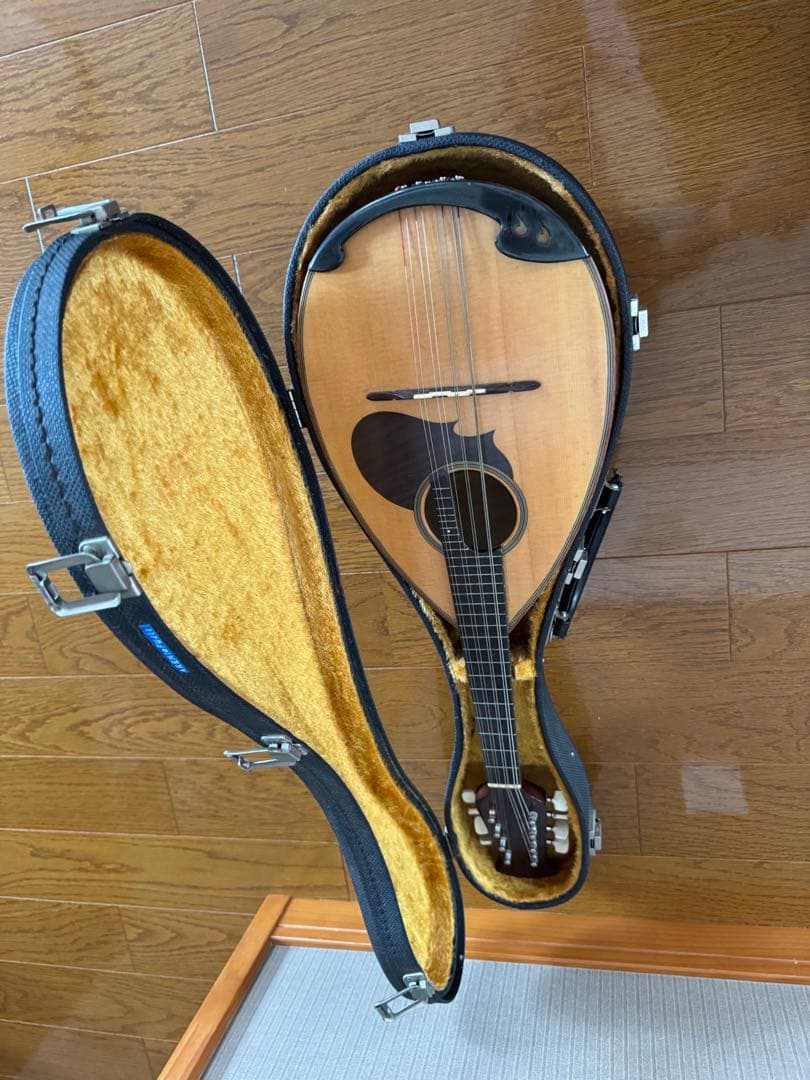 マンドリン スズキ M-20