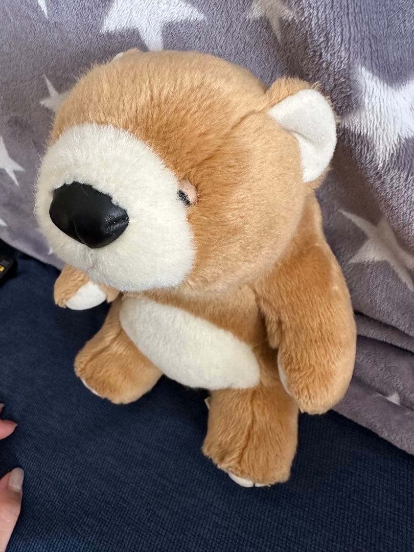 モンスイユ　ヒグマ