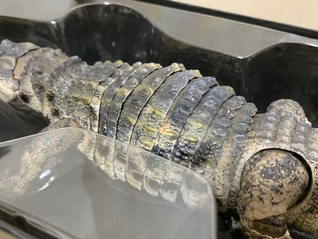 ガシャポンオンライン　いきもの大図鑑　アルティメット　ナイルワニ