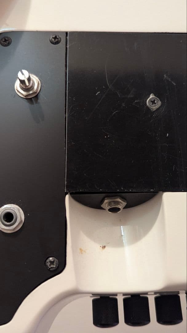 スタインバーガー　シナプス　 Steinberger Synapse