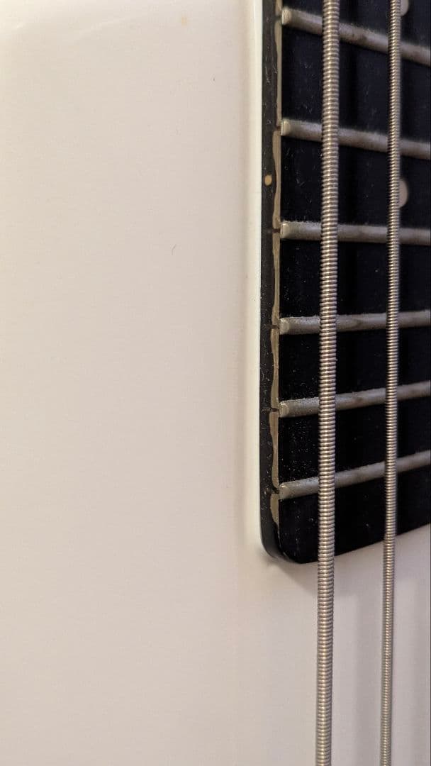 スタインバーガー　シナプス　 Steinberger Synapse