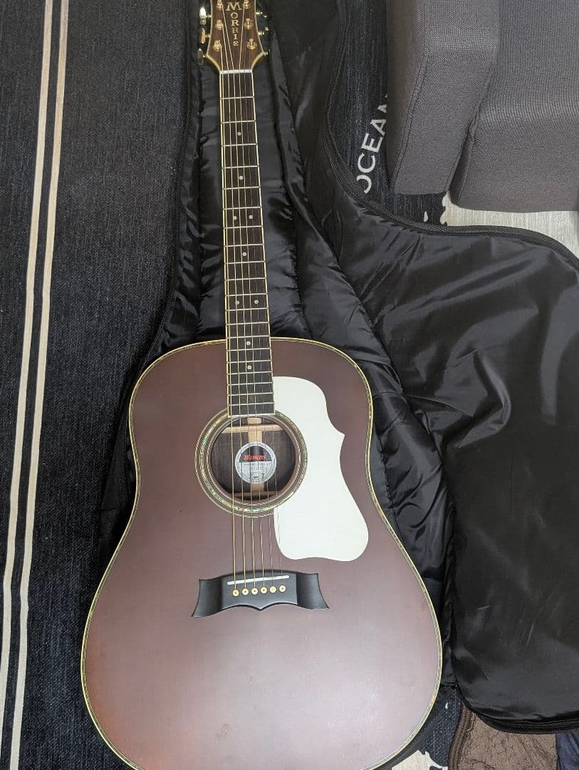 【最終値下】MORRIS MG-702S アコギ ピックアップ、弦 ケース他