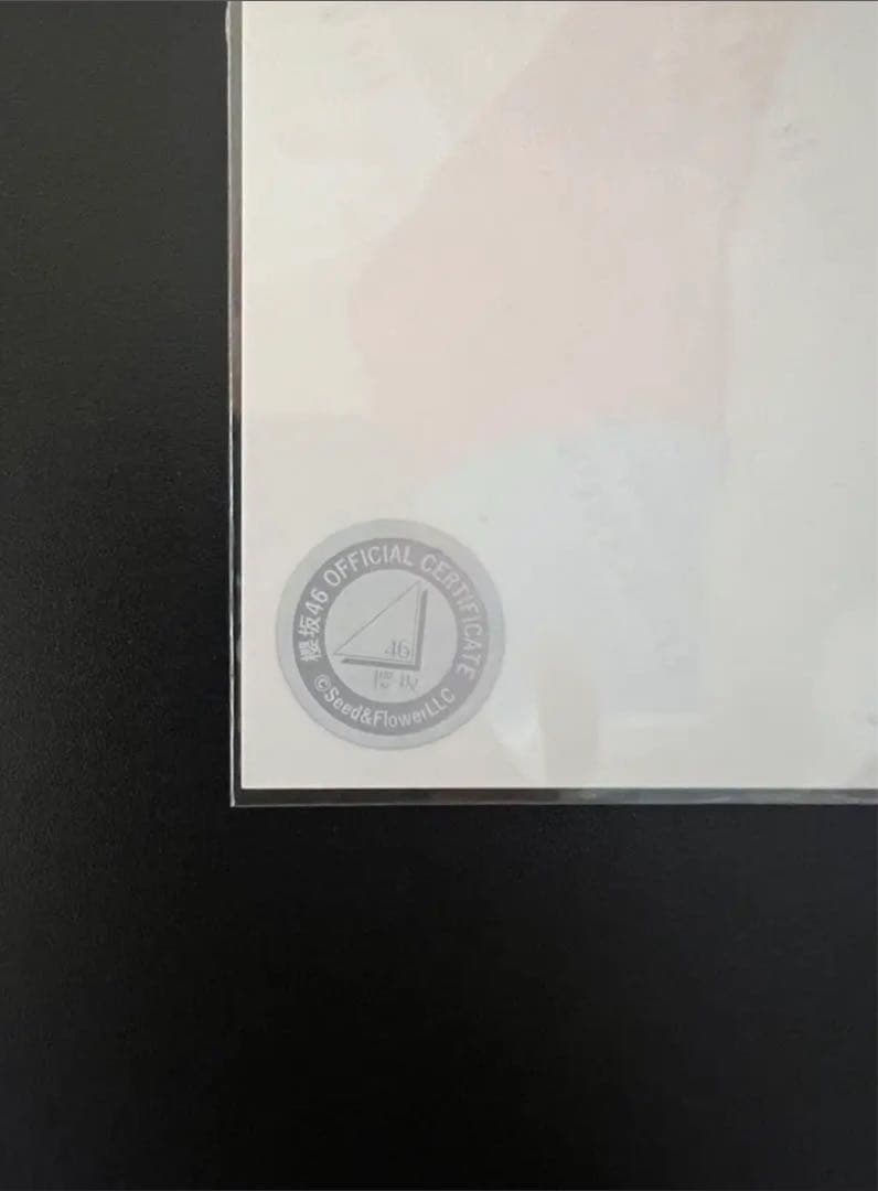 櫻坂46 向井純葉　2024クリスマスサンタ衣装　直筆サイン　ヨリ