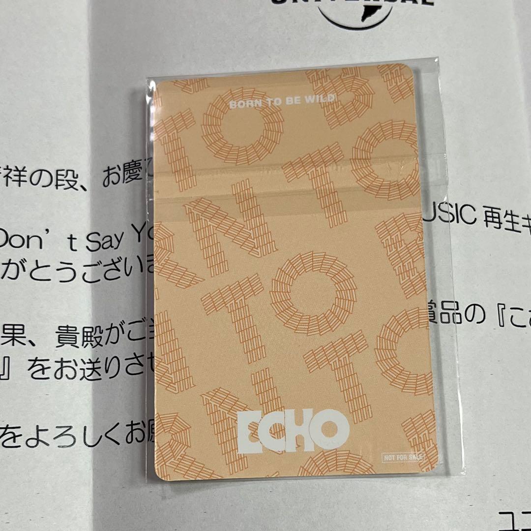 BTS LINEミュージック 当選 限定 Echo トレカ 特典 JIN ジン