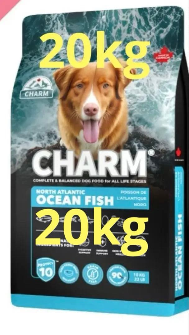 CHARM PROTECT10 チャーム プロテクト10 全年齢 10kg❌2袋