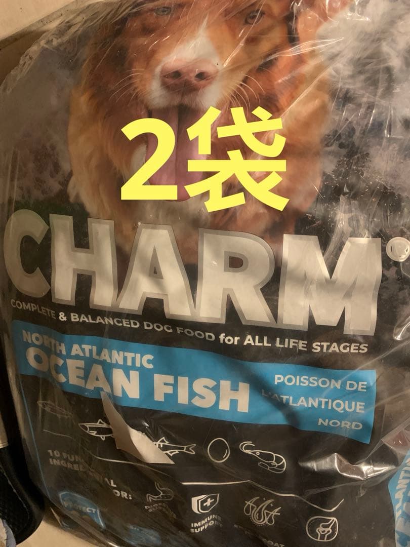 CHARM PROTECT10 チャーム プロテクト10 全年齢 10kg❌2袋