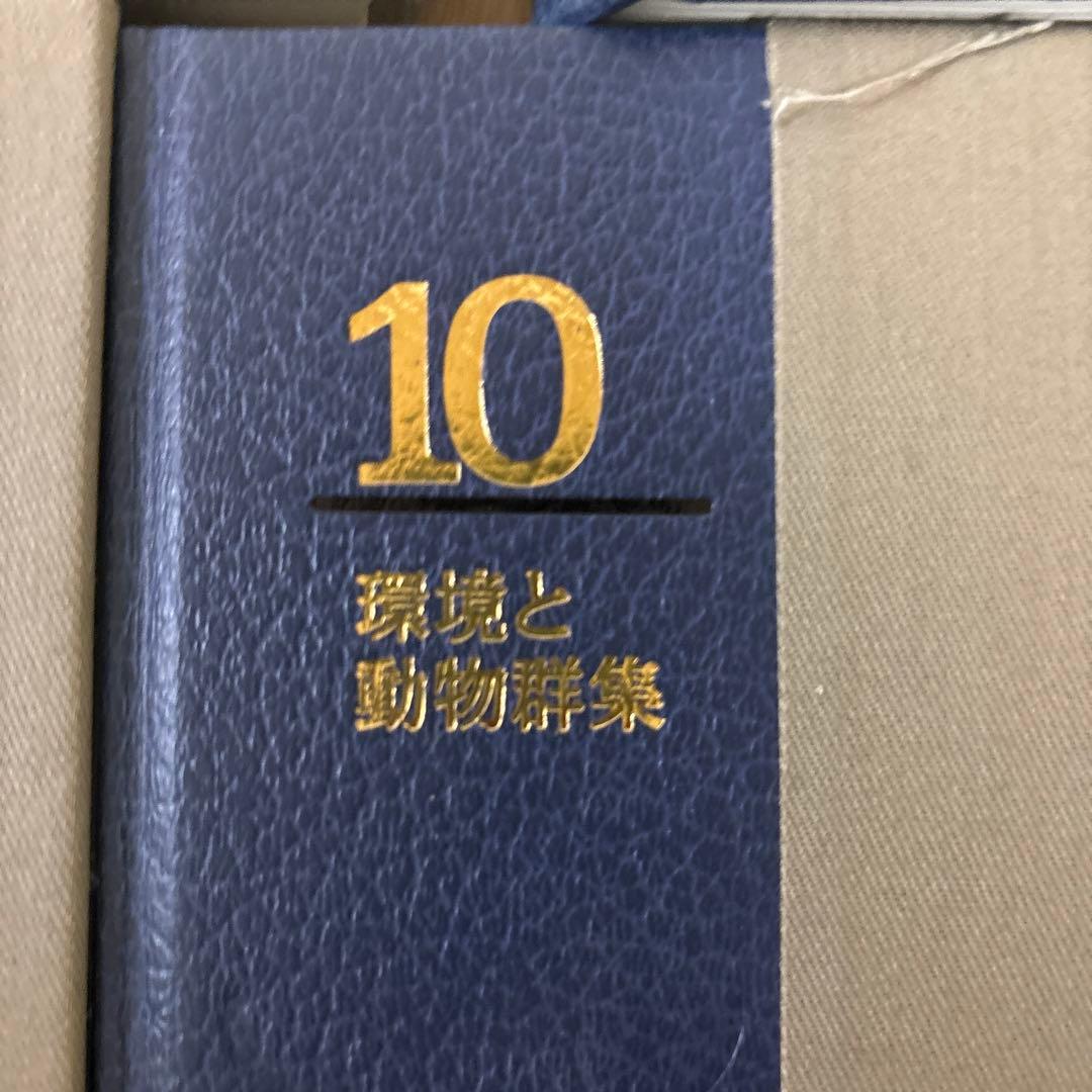 朝日百科 動物たちの地球 朝日新聞社