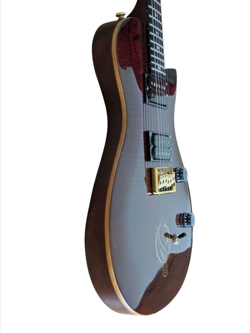 PRS ポールリードスミス SE エレキギター