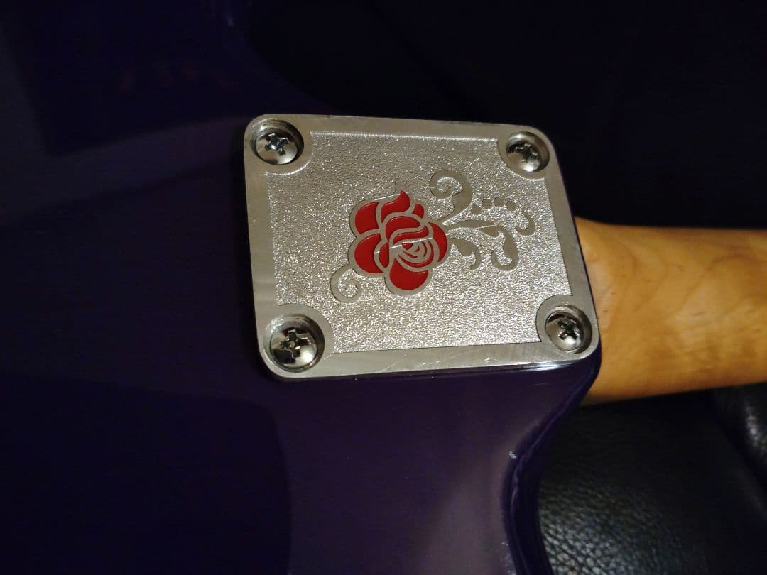 GYPSY ROSE ストラトタイプ エレキギター