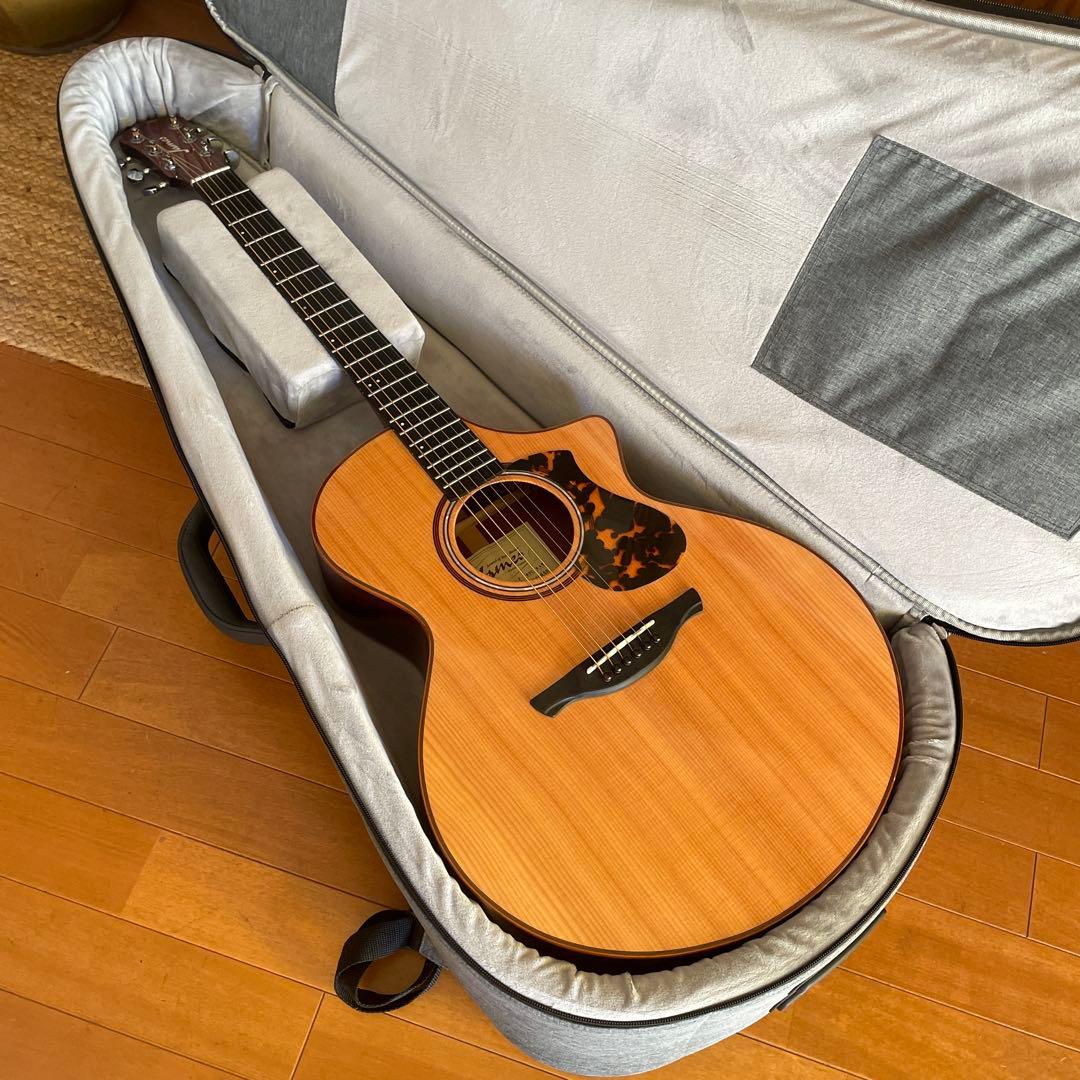 エレアコJames J-900/C オール単板 美品 ギグバック付属