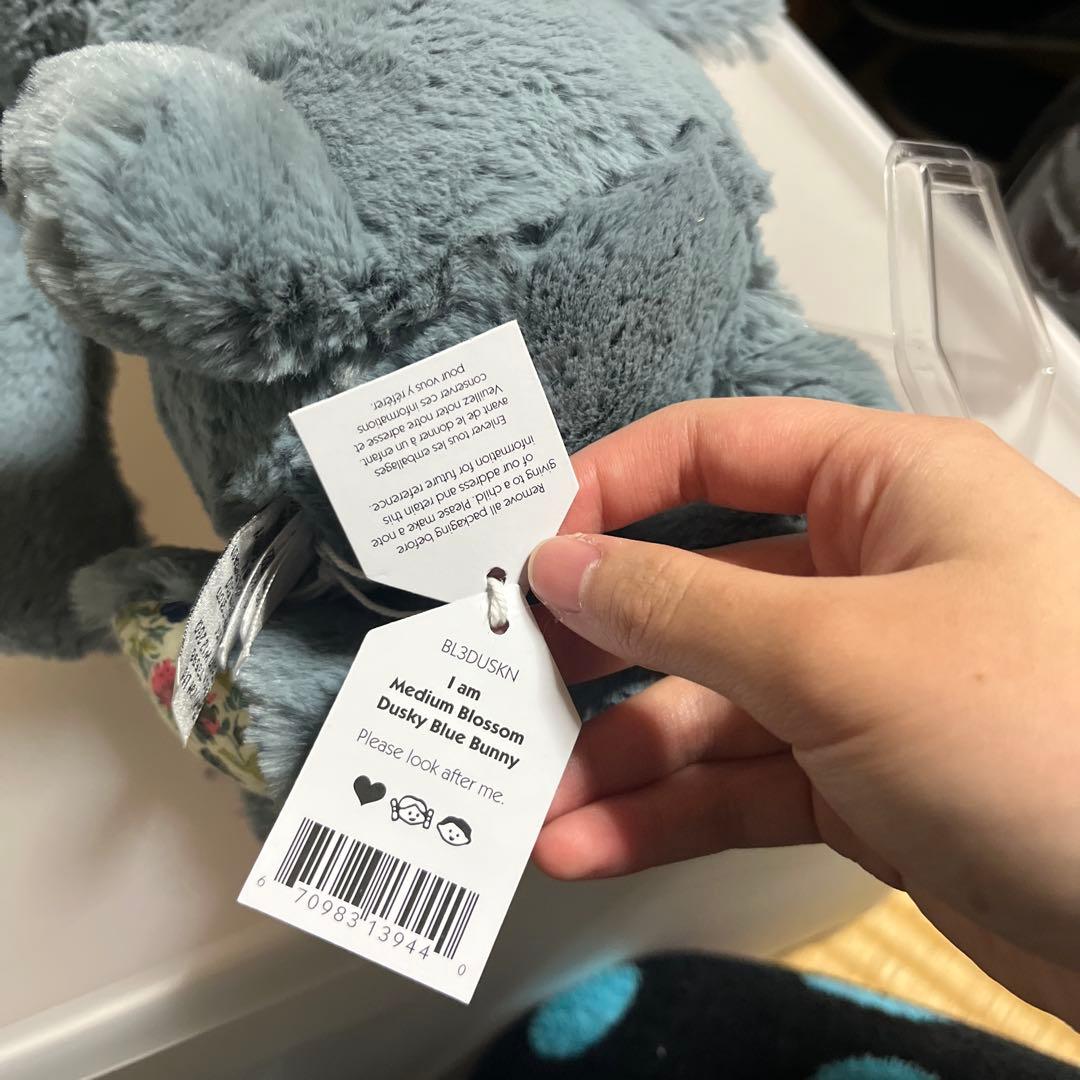 a*.様  Bashful Blossom Dusky Blue