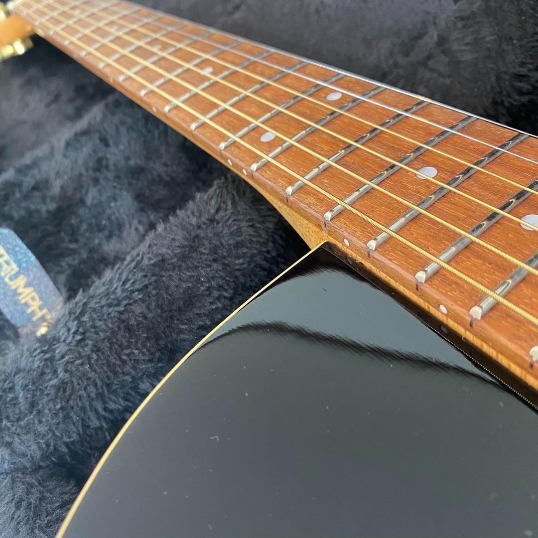 Yamaha AEX500 ヤマハ