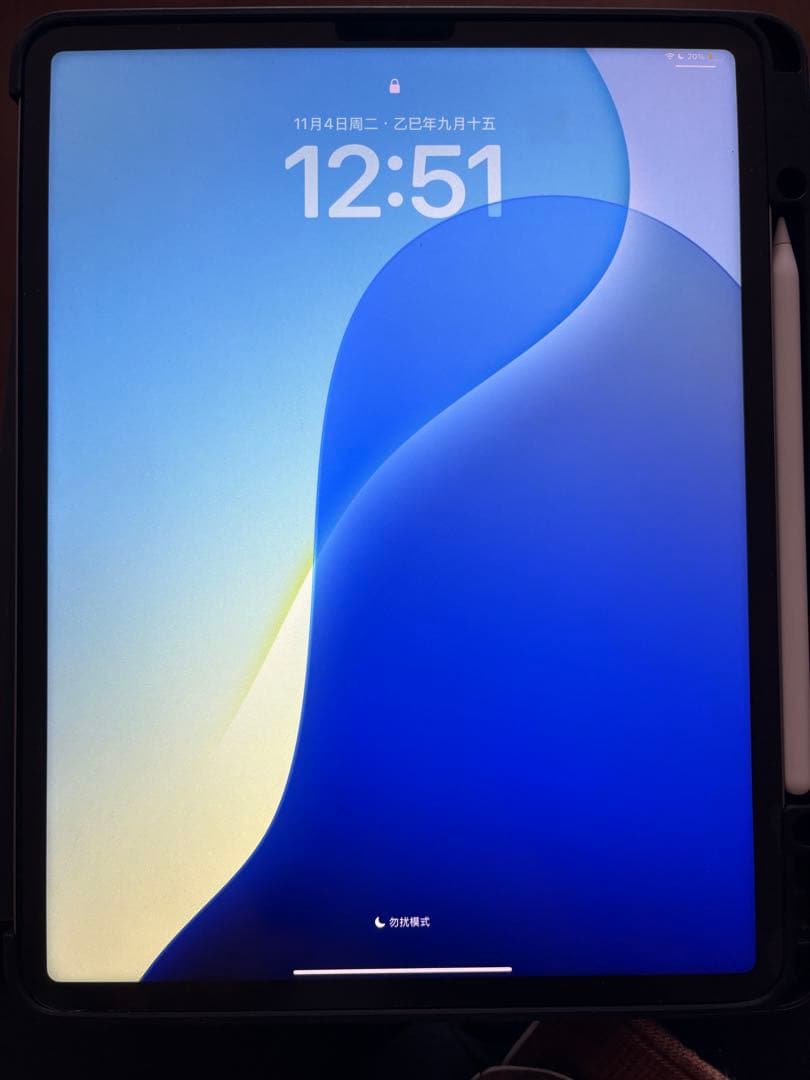 iPad Pro (12.9インチ) 第6世代 256GB