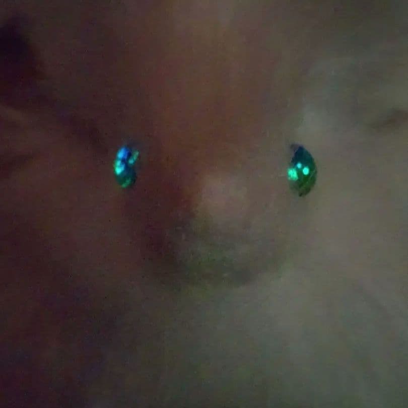 オーロラ妖精龍　幻獣　アートドール琉球蓄光ガラス　ハンドメイドぬいぐるみ　ケモノ