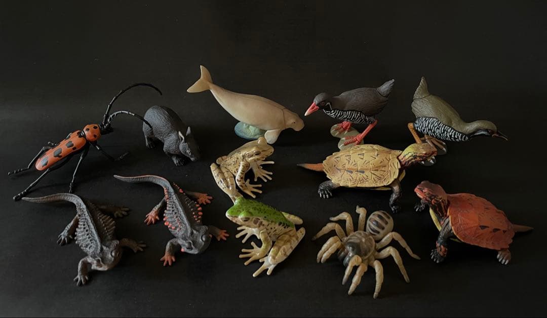 カプセルＱ 日本の動物コレクション Ⅱ 沖縄奄美