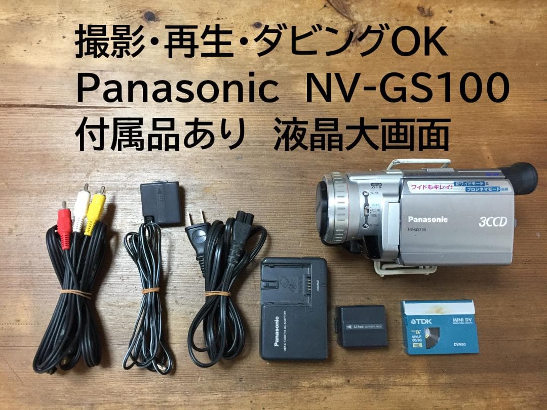 撮影再生ダビングOK　Panasonic NV-GS100　付属品あり　大画面